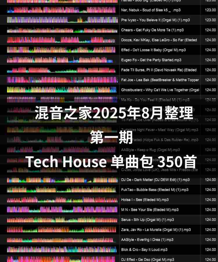 混音之家8月外网整理 第一期 tech house 350首